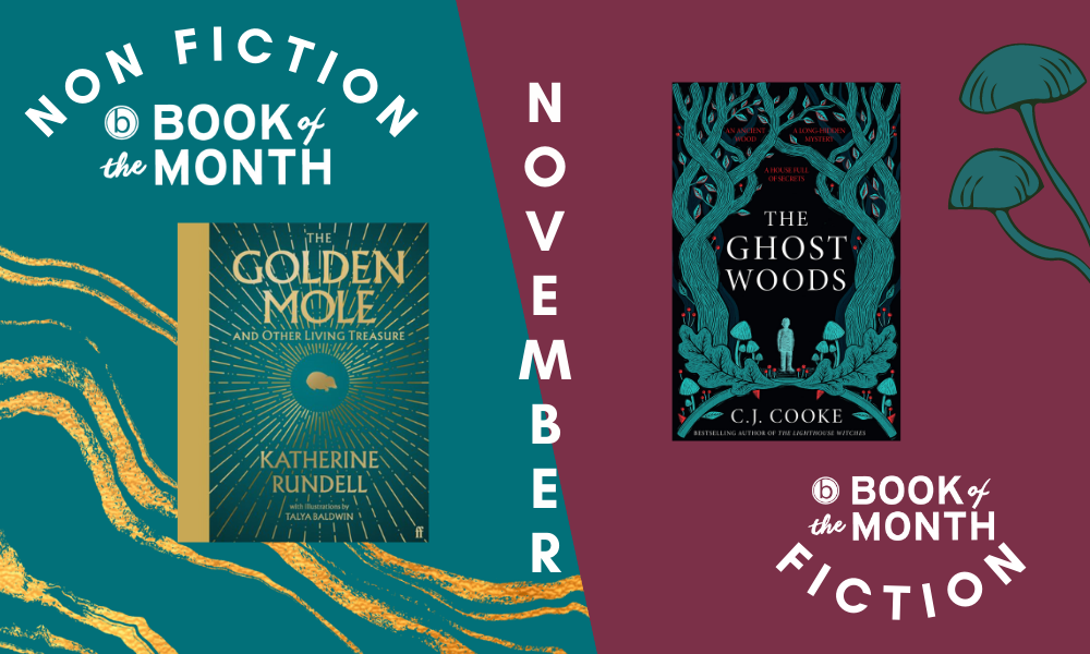 Books of the Month: November
